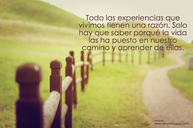experiencia-aprendizaje