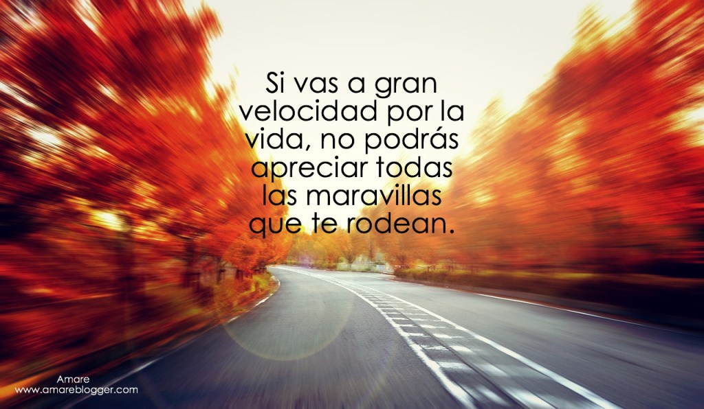 La vida no es una carrera