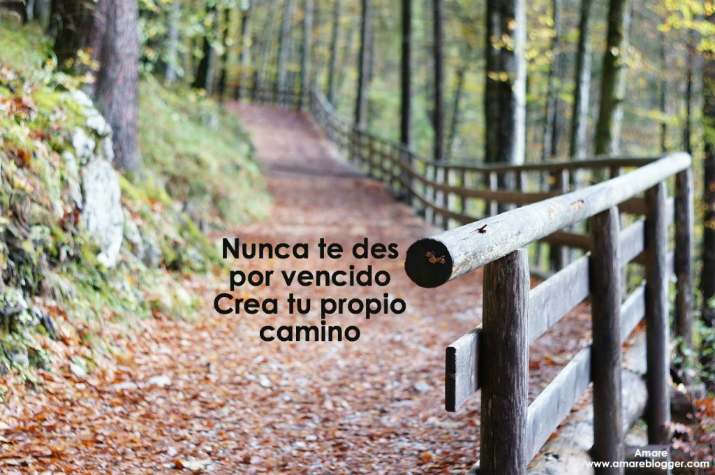 crea tu propio camino