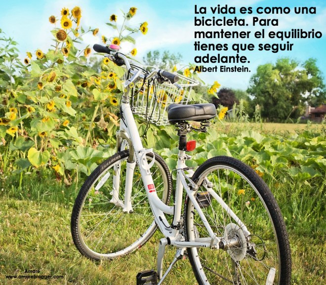 frases de Albert Einstein