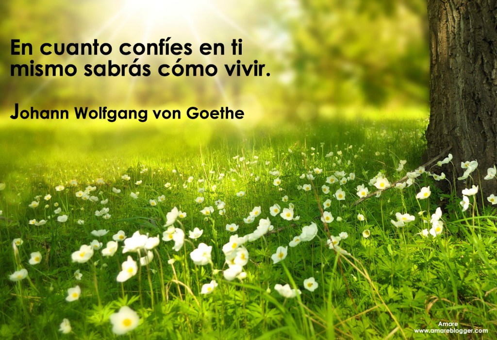 frases de Johann Wolfgang von Goethe